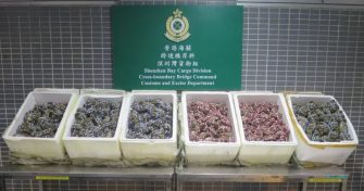 秋風起，「螞蟻搬家」竟為走私它……