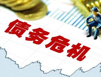 雷鼎鳴：中國的債務並不構成重大危機