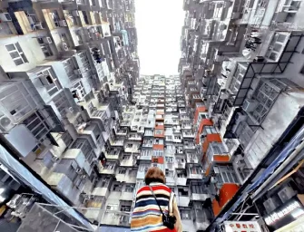高才來港是為享福利？